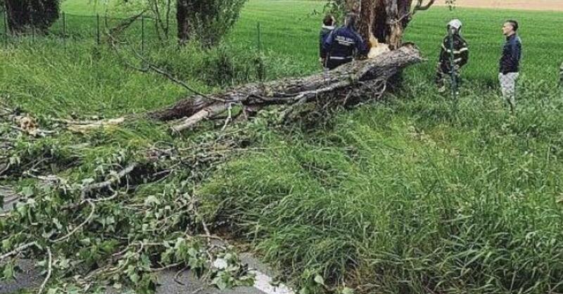 L&rsquo;Incredibile fatalit&agrave;, muore motociclista 53enne colpito da un albero