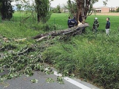 L&rsquo;Incredibile fatalit&agrave;, muore motociclista 53enne colpito da un albero