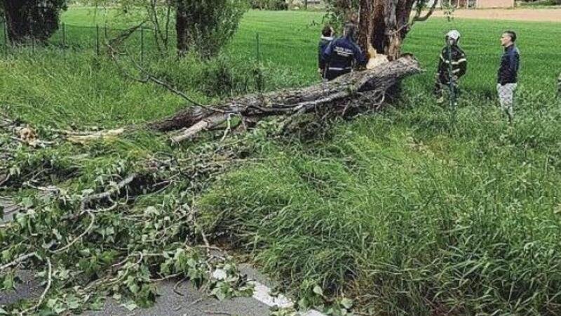 L&rsquo;Incredibile fatalit&agrave;, muore motociclista 53enne colpito da un albero