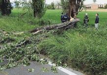 L’Incredibile fatalità, muore motociclista 53enne colpito da un albero