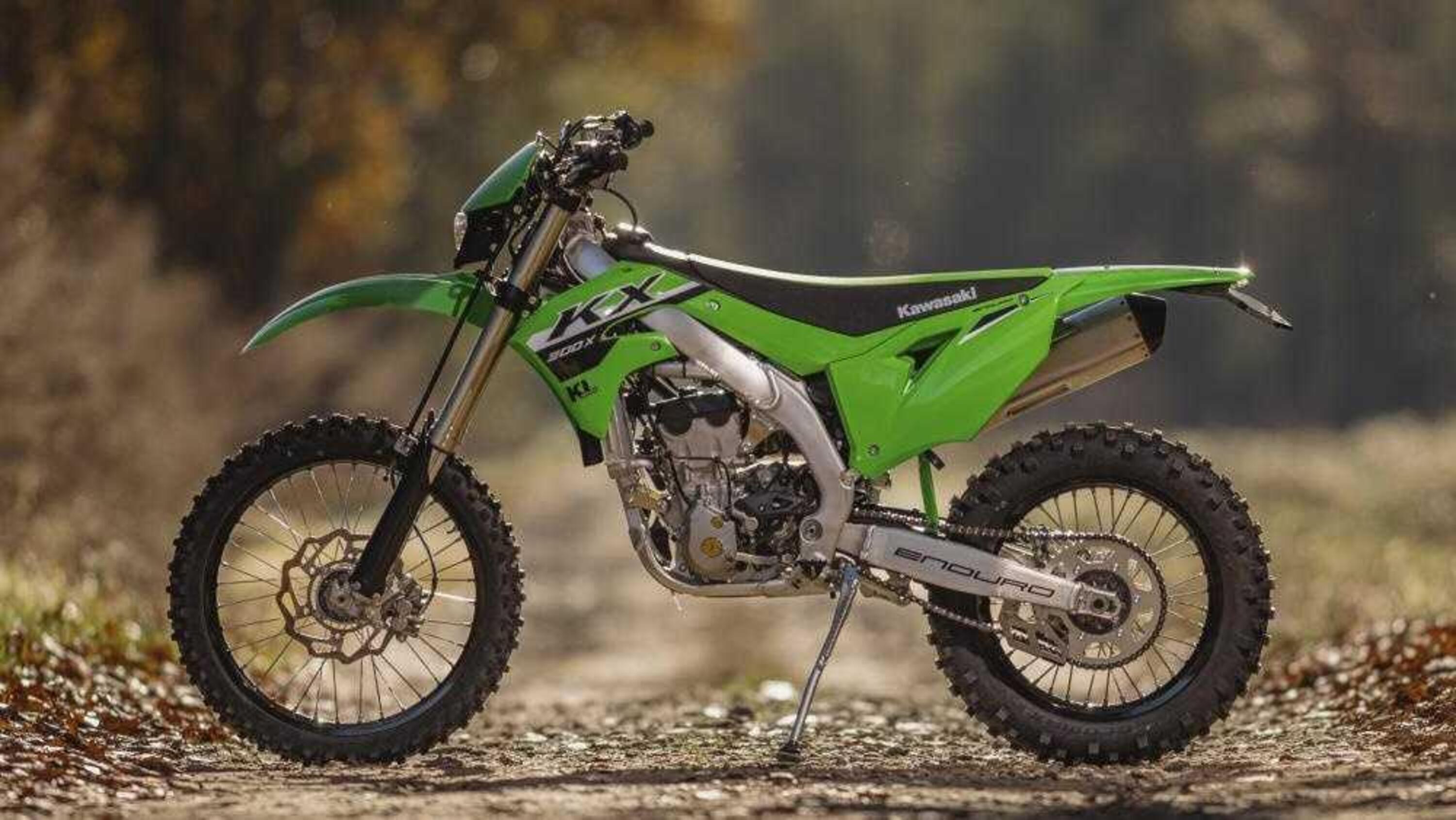 Kawasaki KX 300 X KX 300 X (2024)