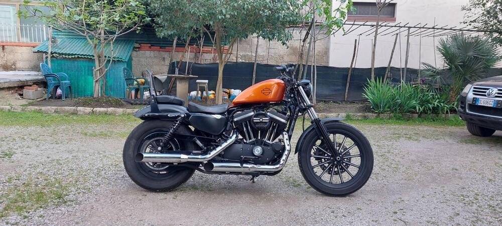 Harley-Davidson 883 Iron (2014 - 16) - XL 883N