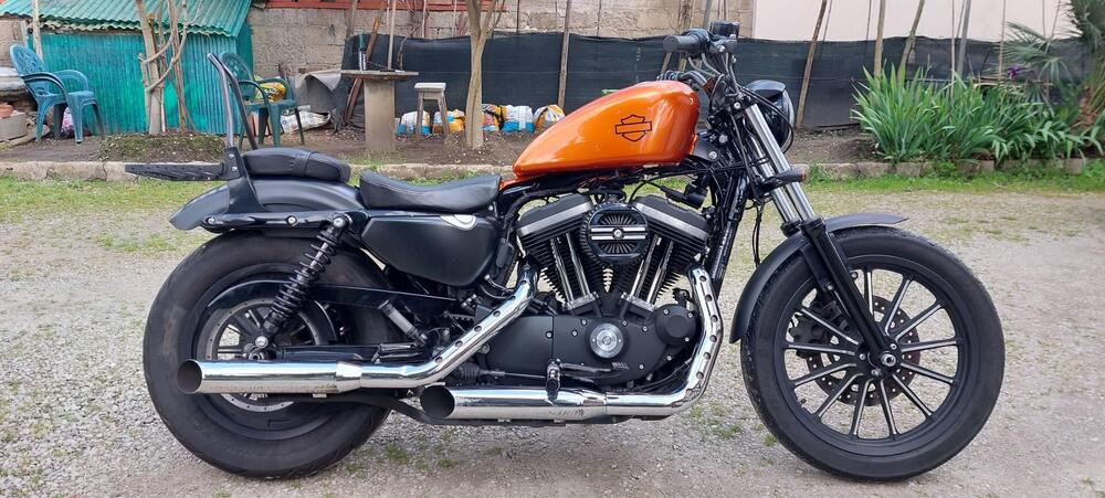 Harley-Davidson 883 Iron (2014 - 16) - XL 883N (2)