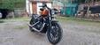 Harley-Davidson 883 Iron (2014 - 16) - XL 883N (7)