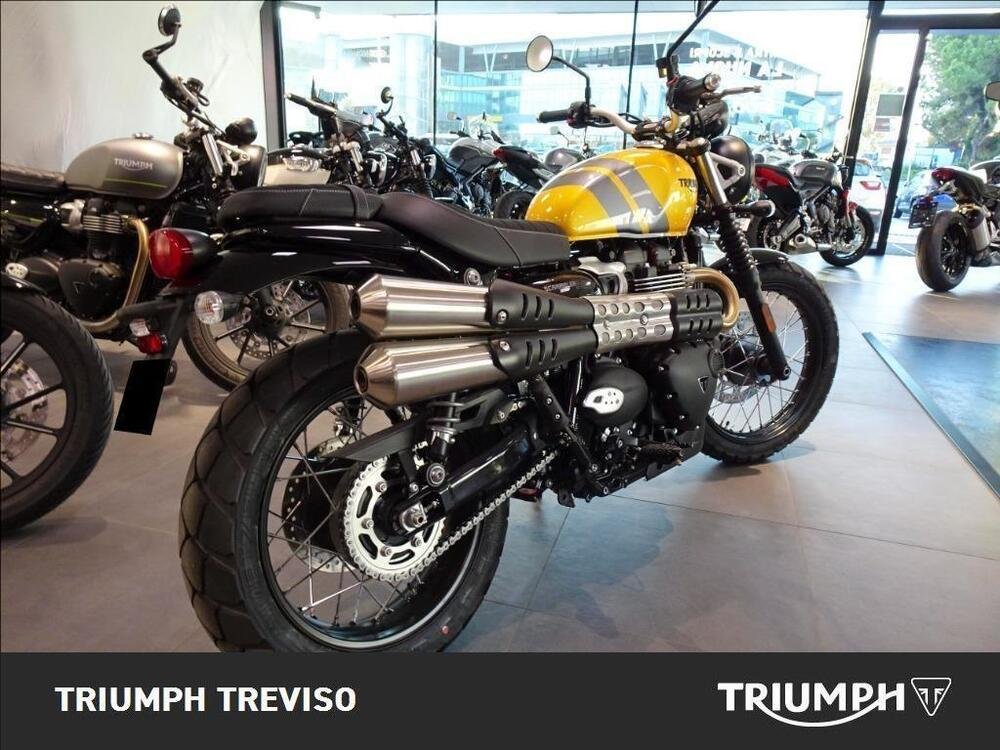 Triumph Scrambler 900 (2023 - 24) (3)
