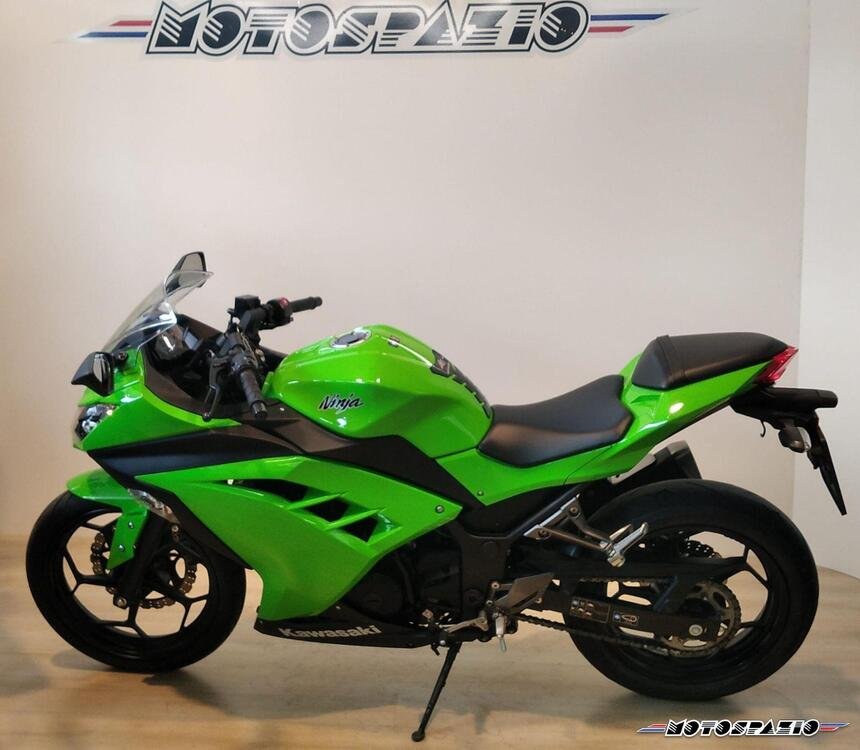 Kawasaki Ninja 300 ABS (2012 - 16) (3)