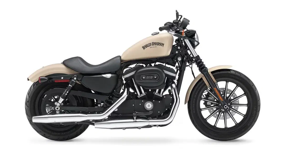 Mitt 808 Big Foot: si ispira alla Sportster ma costa poco più di 8.000 euro. È disponibile in Europa [GALLERY] (17)