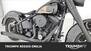 Harley-Davidson 1450 Heritage Classic (1999 - 02) - FLSTC (11)