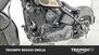 Harley-Davidson 1450 Heritage Classic (1999 - 02) - FLSTC (15)