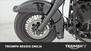Harley-Davidson 1450 Heritage Classic (1999 - 02) - FLSTC (16)