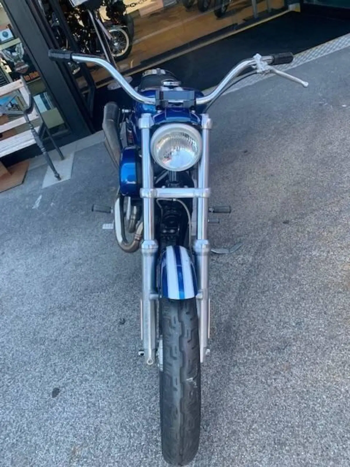 Harley-Davidson 883 Standard (2001 - 05) - XL 883 (2)