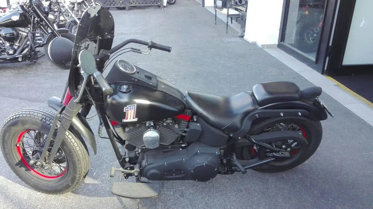 Harley-Davidson 1450 Springer (1999 - 00) - FXSTS (3)