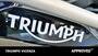 Triumph Tiger 1200 Rally Pro (2022 - 23) (15)