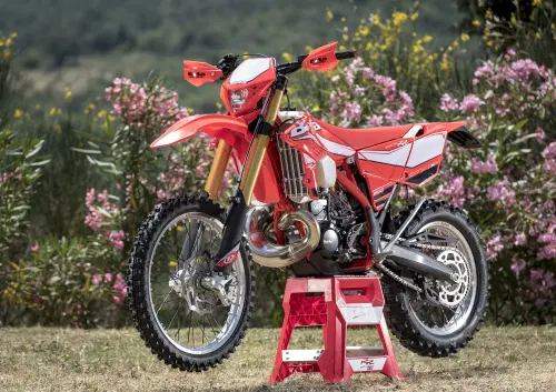 Betamotor RR 250 2T Enduro (2017)