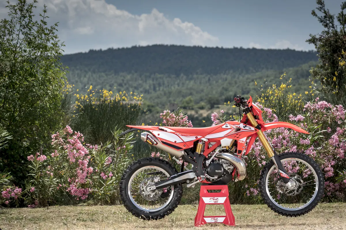 Betamotor RR 250 2T RR 250 2T Enduro (2017) (9)
