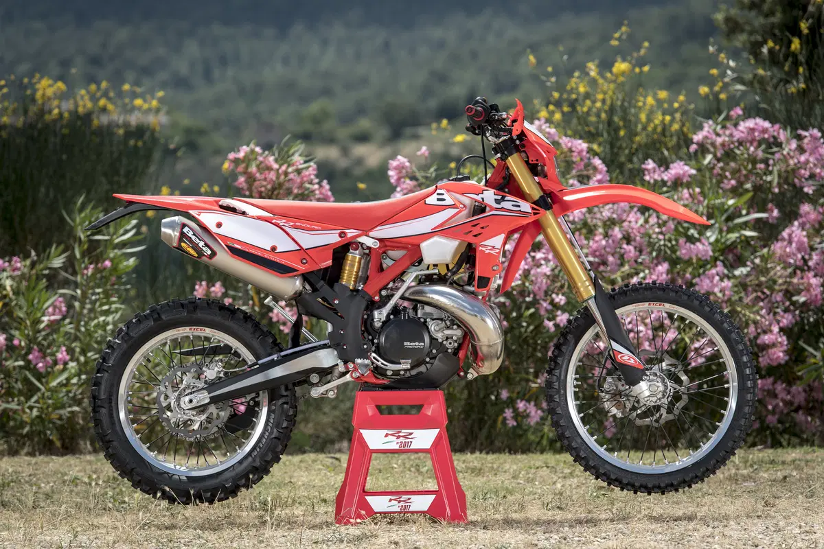 Betamotor RR 300 2T RR 300 2T Enduro (2017) (7)