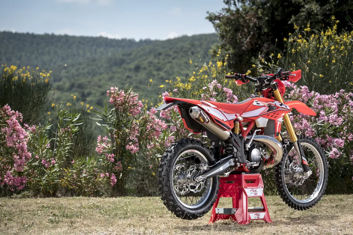 Betamotor RR 300 2T RR 300 2T Enduro (2017) (8)