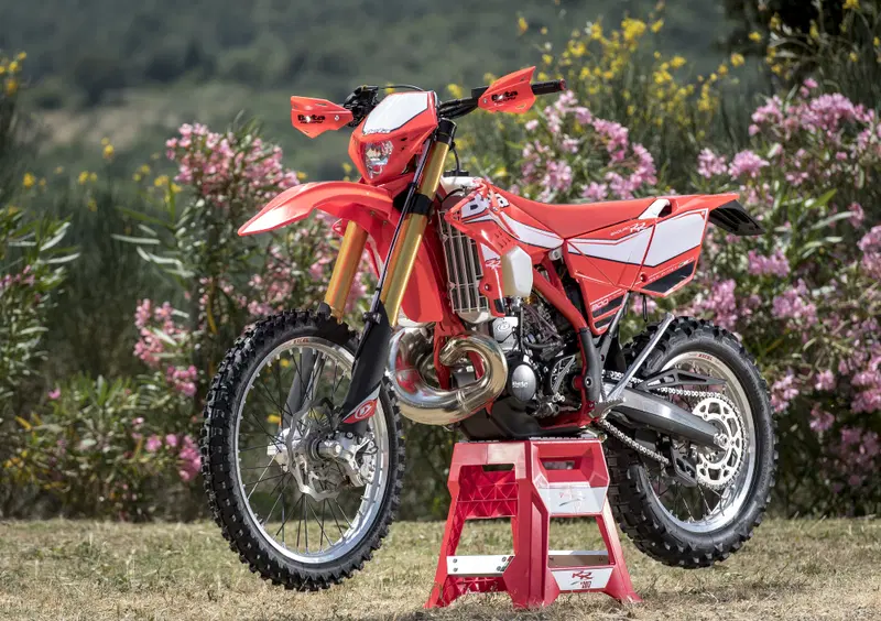 Betamotor RR 300 2T RR 300 2T Enduro (2017) (6)