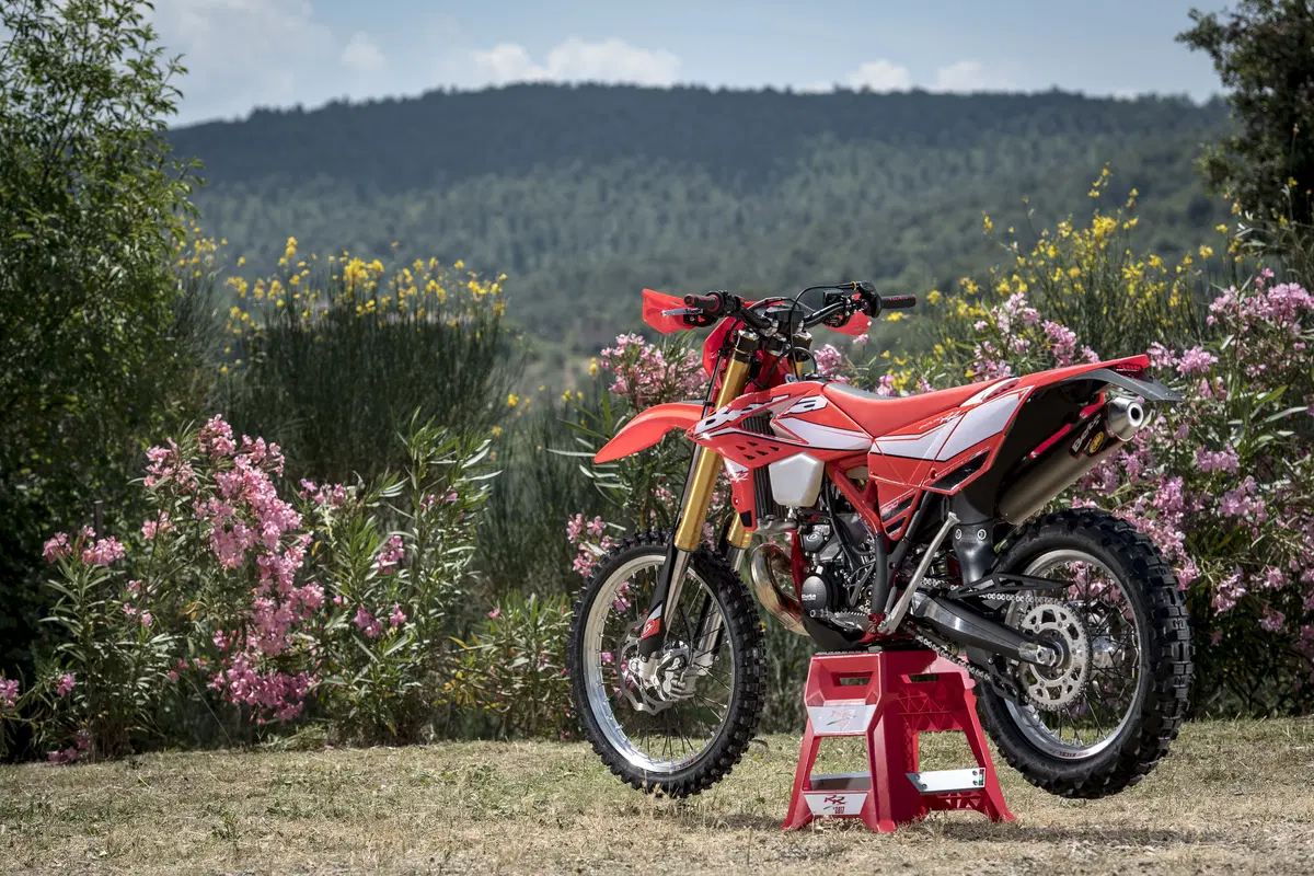 Betamotor RR 300 2T RR 300 2T Enduro (2017) (9)