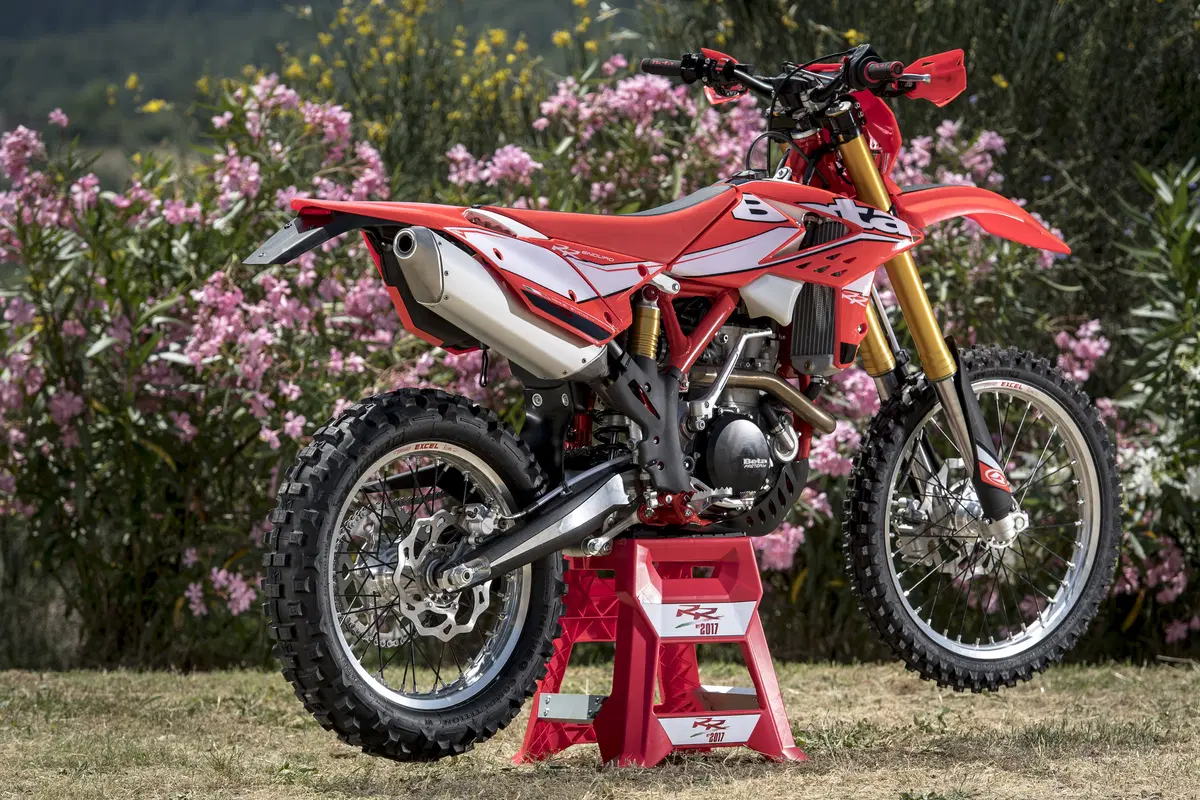 Betamotor RR 430 4T RR 430 4T Enduro (2017) (11)