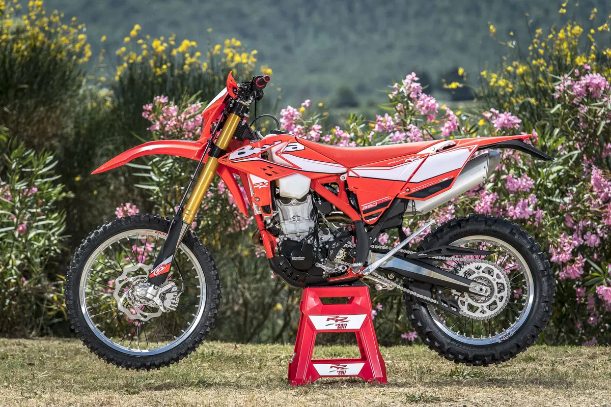 Betamotor RR 430 4T RR 430 4T Enduro (2017) (12)
