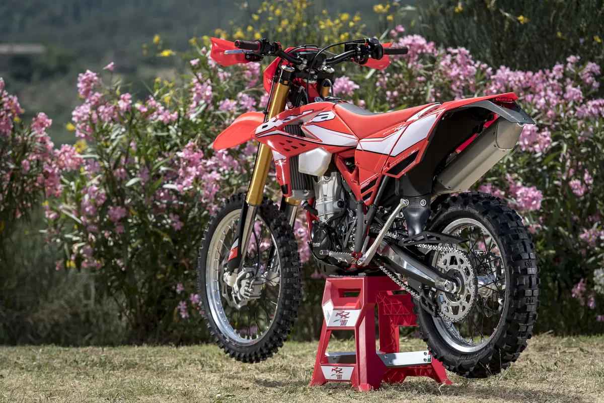 Betamotor RR 480 4T RR 480 4T Enduro (2017) (13)