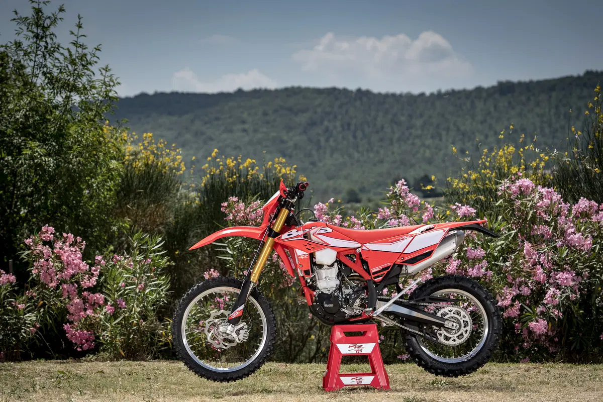 Betamotor RR 480 4T RR 480 4T Enduro (2017) (16)