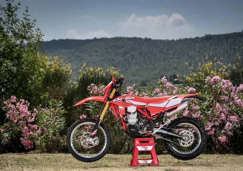 Betamotor RR 480 4T RR 480 4T Enduro (2017) (16)