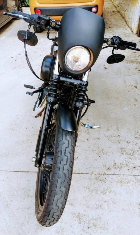 Harley-Davidson 883 Iron (2009 - 11) - XL 883N (3)