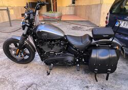 Harley-Davidson Street Bob 114 (2021 - 24) usata