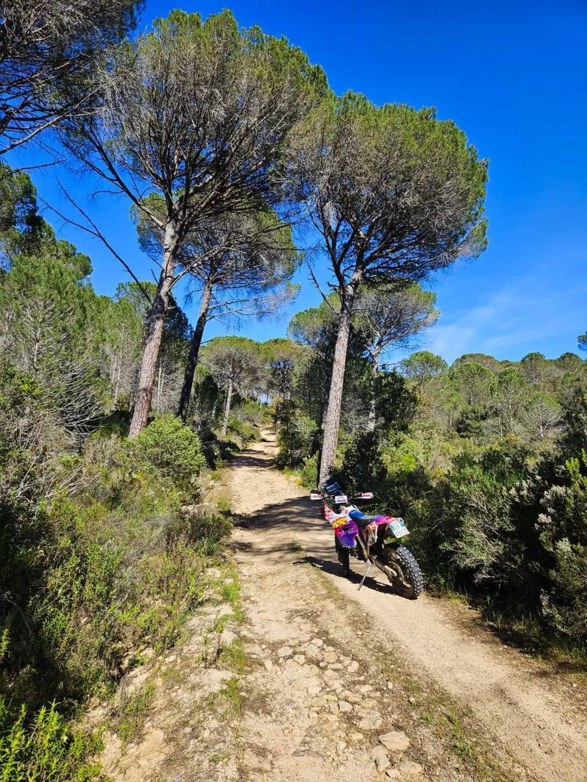 Adventure in Sardegna da inviato di Moto.it: l'esperienza al Sardegna Gran Tour Way Point Trophy (4)
