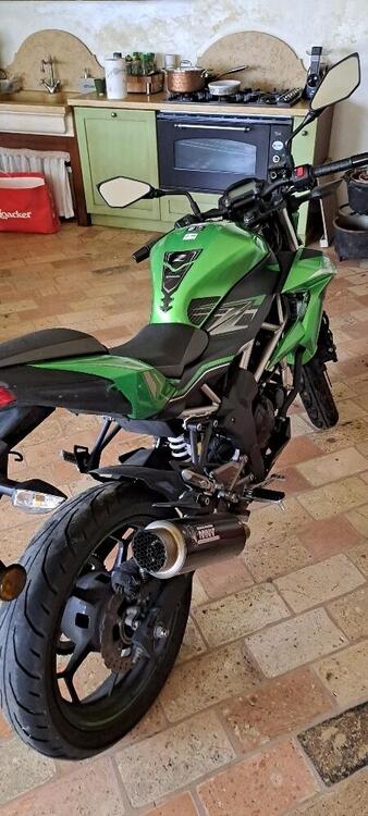 Kawasaki Z 125 (2019 - 20) (3)