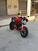 Ducati Monster 796 (2010 - 13) (18)