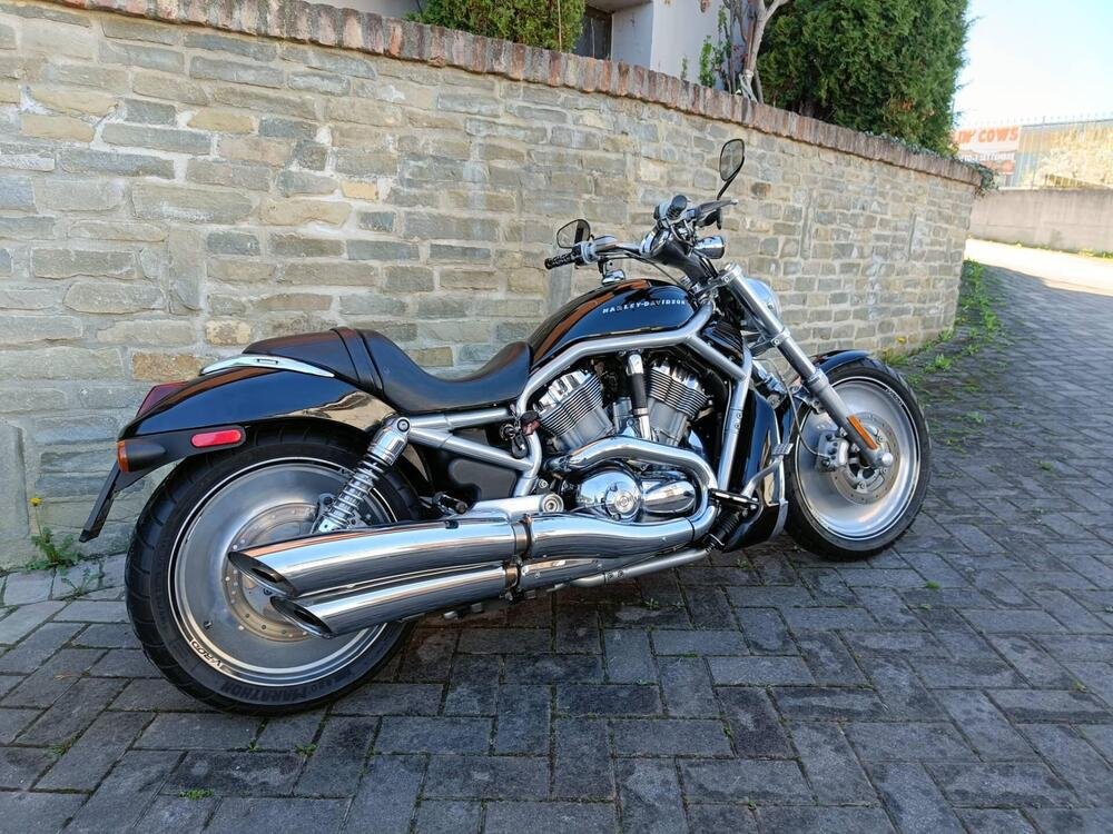 Harley-Davidson 1130 V-Rod (2002 - 05) - VRSCA (2)