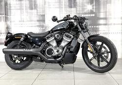 Harley-Davidson Nightster (2023 - 24) usata
