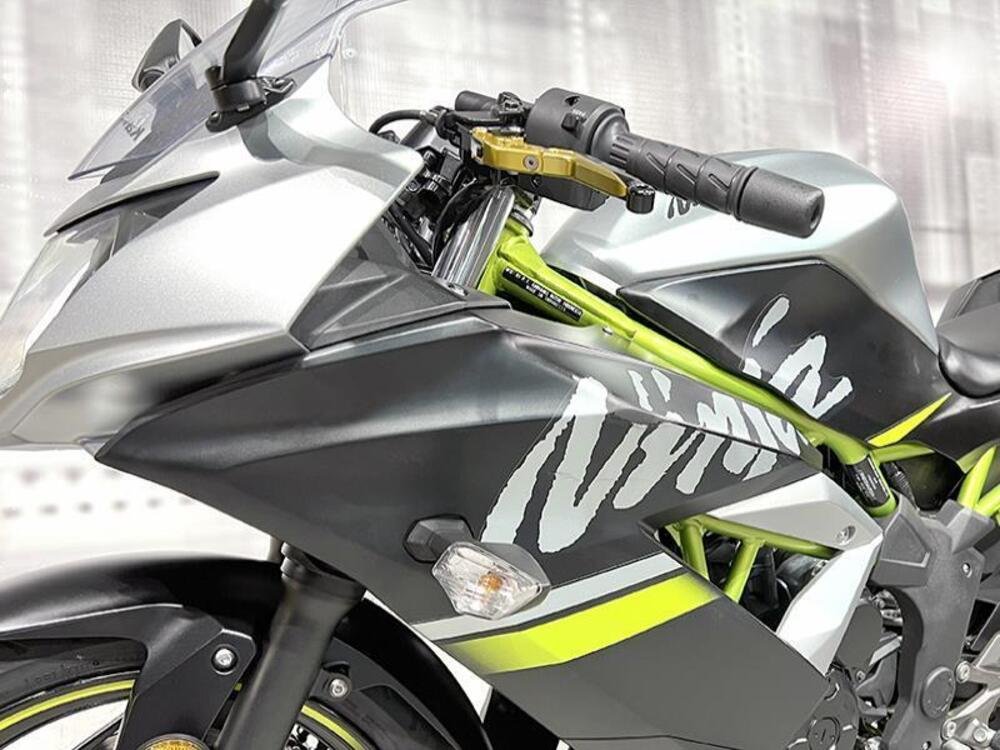 Kawasaki Ninja 125 (2019 - 20) (3)