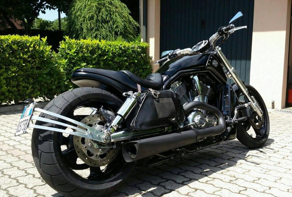 Harley-Davidson 1250 V-Rod Muscle (2009 - 17) - VRSCF (3)