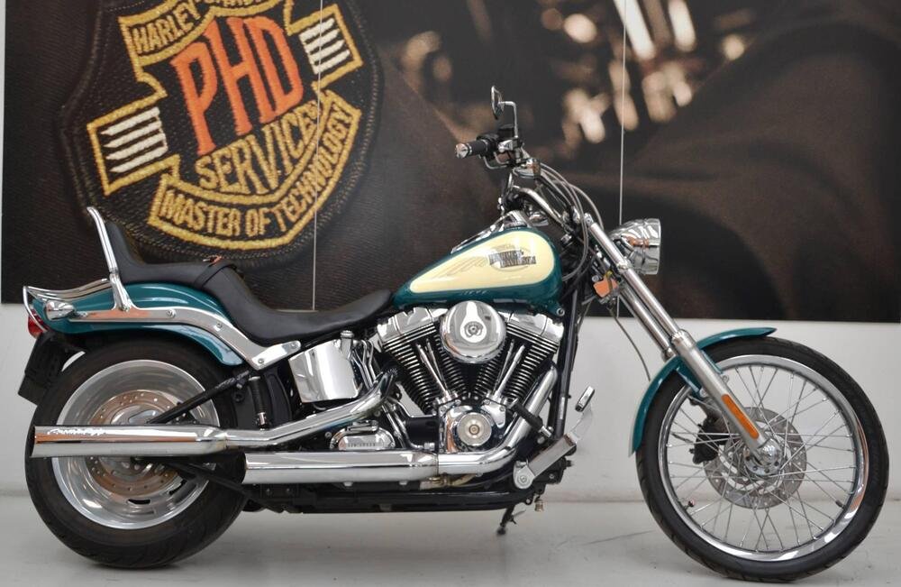 Harley-Davidson 1584 Custom (2008 - 09) - FXSTC (2)