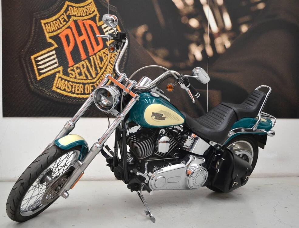 Harley-Davidson 1584 Custom (2008 - 09) - FXSTC (5)