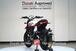 Ducati Scrambler 800 Icon (2023 - 24) (11)