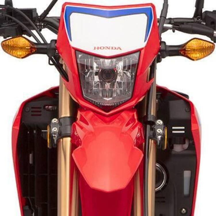 Honda CRF 300 L (2021 - 24) (4)