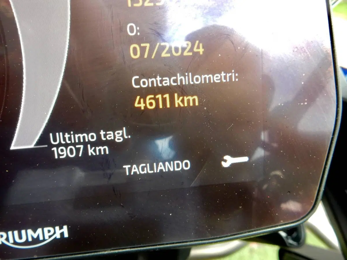 Triumph Tiger 1200 Rally Explorer (2022 - 23) (5)