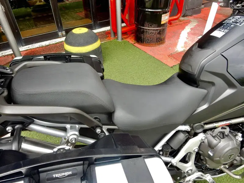 Triumph Tiger 1200 Rally Explorer (2022 - 23) (9)