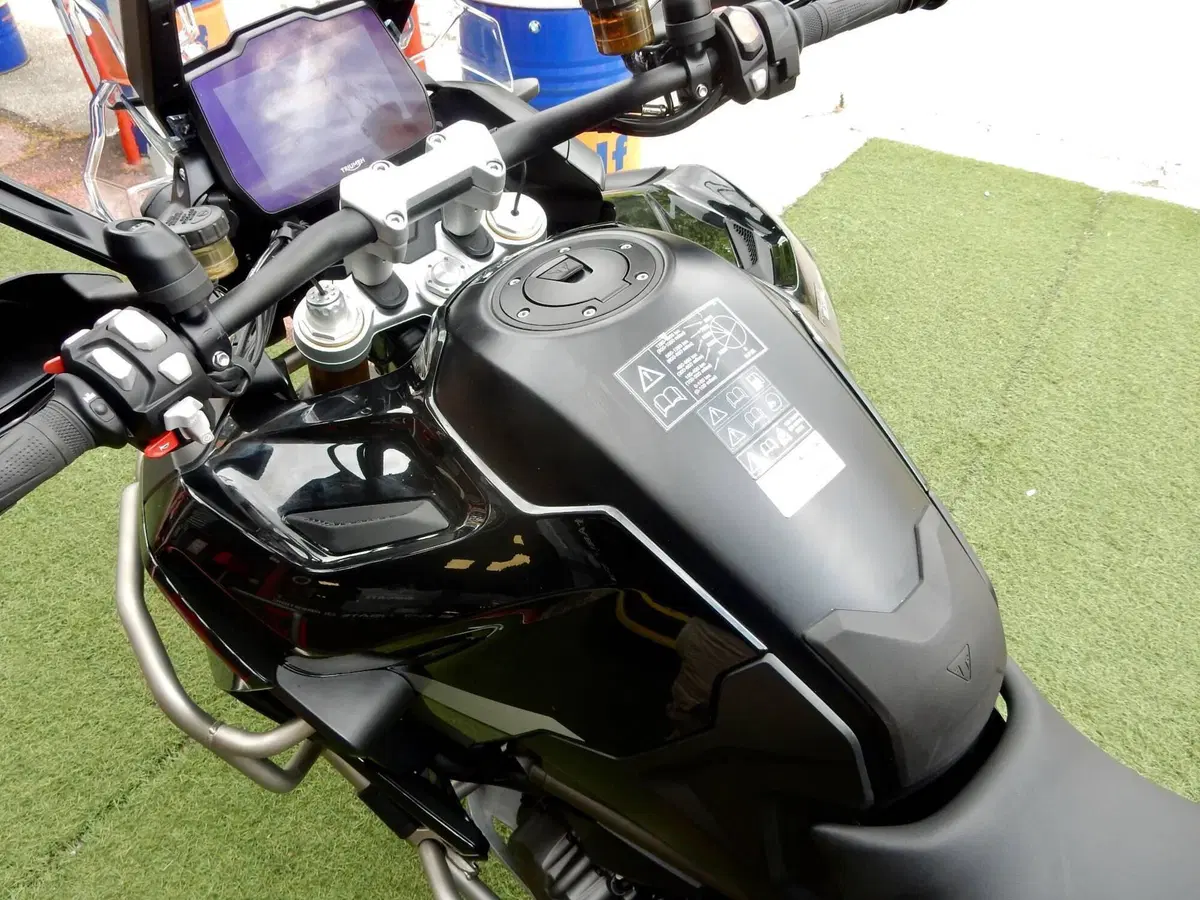 Triumph Tiger 1200 Rally Explorer (2022 - 23) (17)