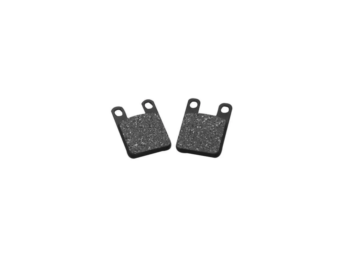 Pastiglie per Pinza freni a 2 pistoni RST RST 