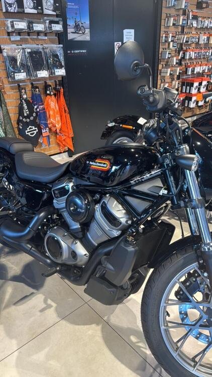 Harley-Davidson Nightster Special (2023 - 24) (2)