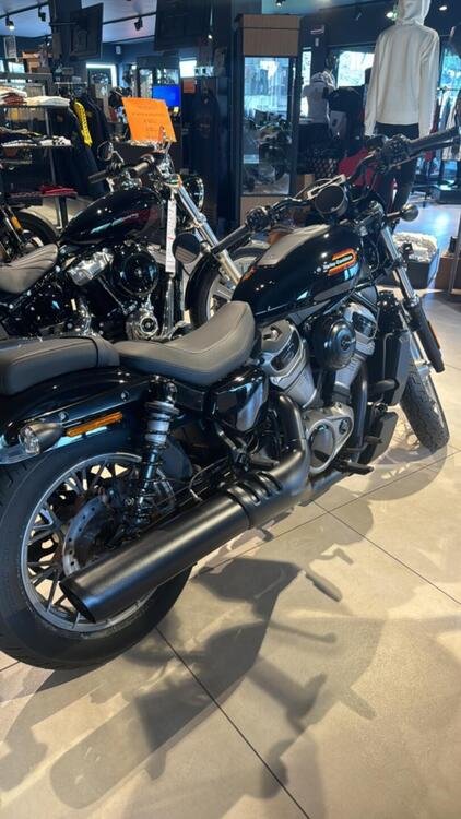 Harley-Davidson Nightster Special (2023 - 24) (3)