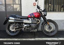 Triumph Scrambler 900 (2023 - 24) usata