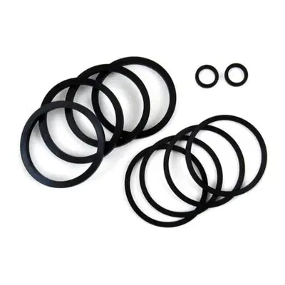 Kit paraoli pinza freno anteriore per Sportster da 