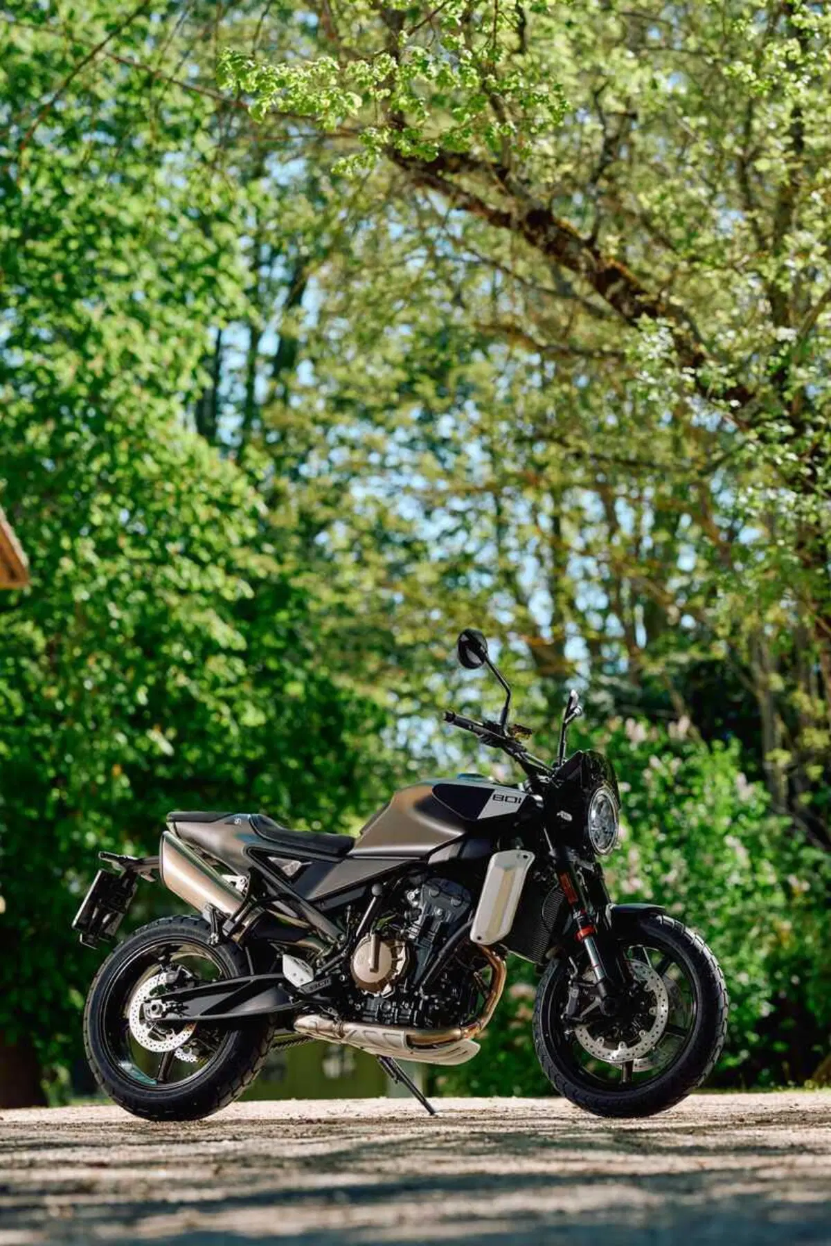 Husqvarna Svartpilen 801 (12)
